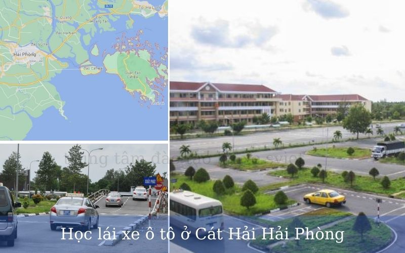 Trung tâm học bằng lái xe ô tô tại Cát Hải Hải Phòng uy tín
