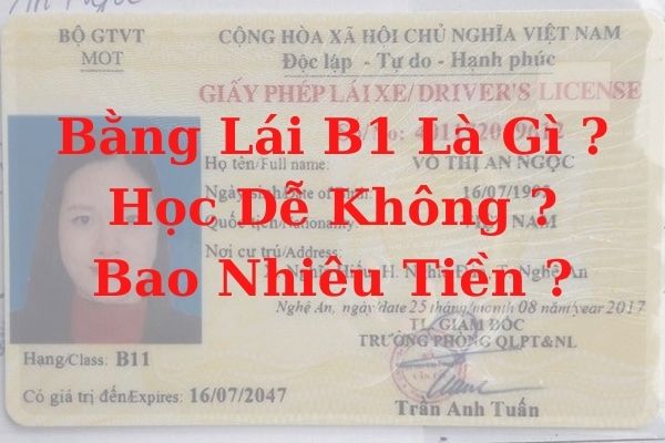 Bằng lái xe B1 lái xe gì Học khó không Hết bao nhiêu tiền