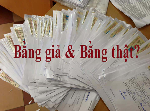 Cách phân biệt bằng lái xe ô tô giả & Chính sách quét mã QR